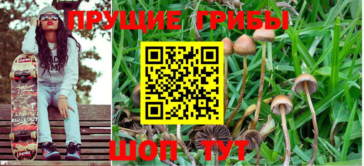 Псилоцибиновые грибы MAGIC MUSHROOMS  Вход с VPN  Псилоцибиновые грибы Psilocybine cubensis  Свободный 